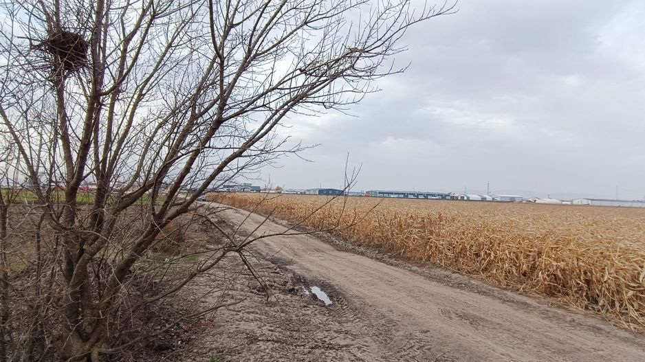 Teren intravilan industrial,str.Durau - Poză 7