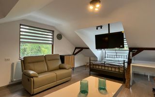 Studio modern, studenti UMF, parcare, curte privată, Gradina Botanica. - Poză 2