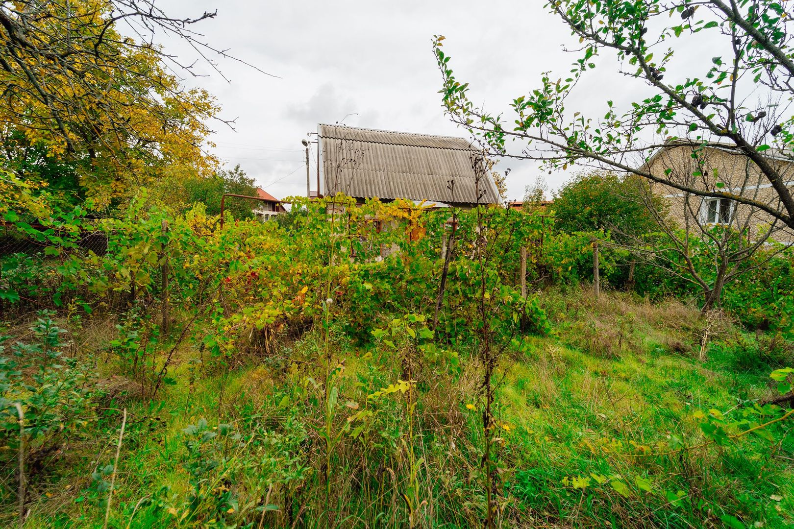 Lot pomicol de 6 ari în Ialoveni, cu construcție auxiliară. - Poză 11