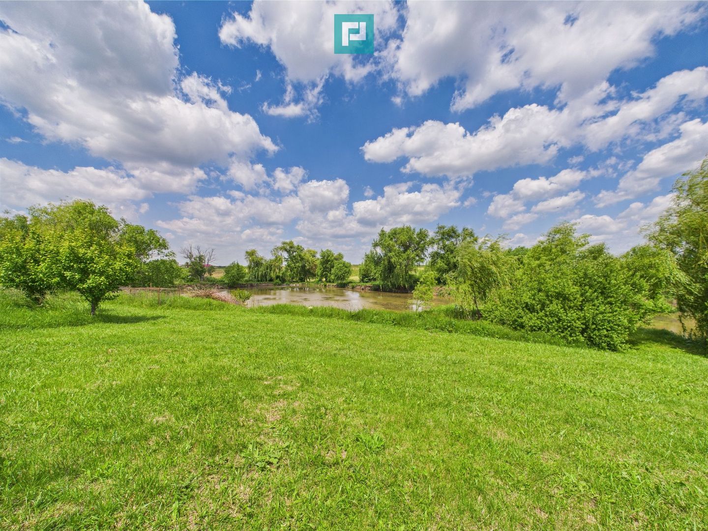 Teren cu baltă- oportunități multiple la Fibiș - Poză 5