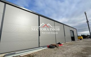 NECTORA IMOB-Hala industriala NOUA 2025, 590 mp util + 3000 mp teren - Poză 3