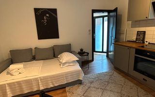 APARTAMENT 2 CAMERE OPENSPACE PARCUL CAROL - TINERETULUI - Poză 3