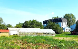 Pensiunea lui Ivan de vanzare | Mila 23 | Chilia Veche - Poză 16