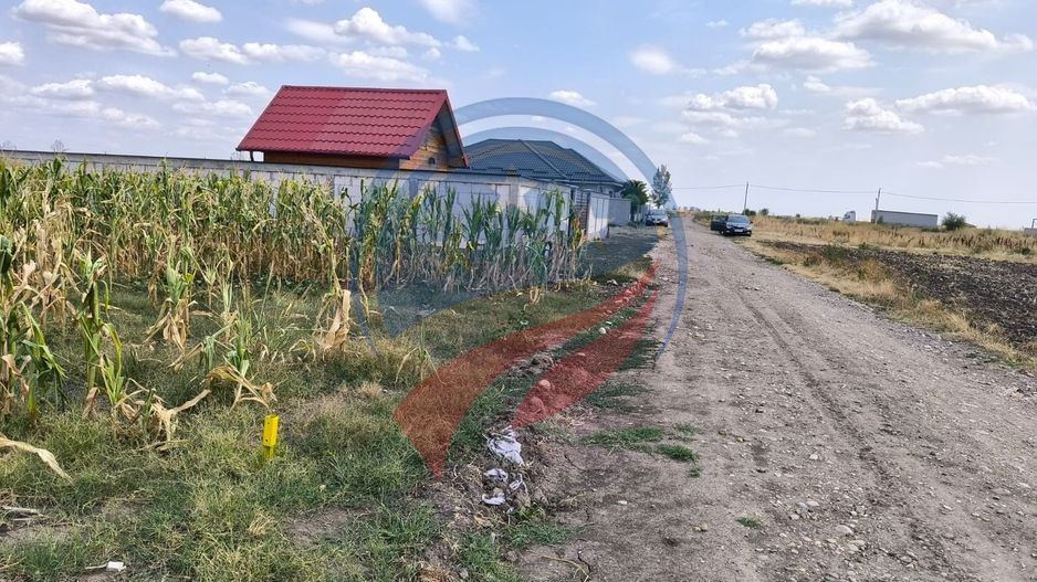 Teren intravilan de vanzare in Pielesti - Poză 7