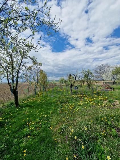 Vanzare casa P+1, anexe, curte, sat Verseni, comuna Miroslovesti, la asfalt - Poză 4
