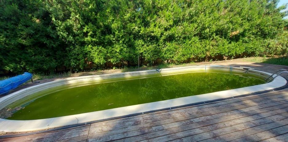 Vanzare - Vila individuala | 5 camere | Piscina | Padure | Corbeanca - Poză 11