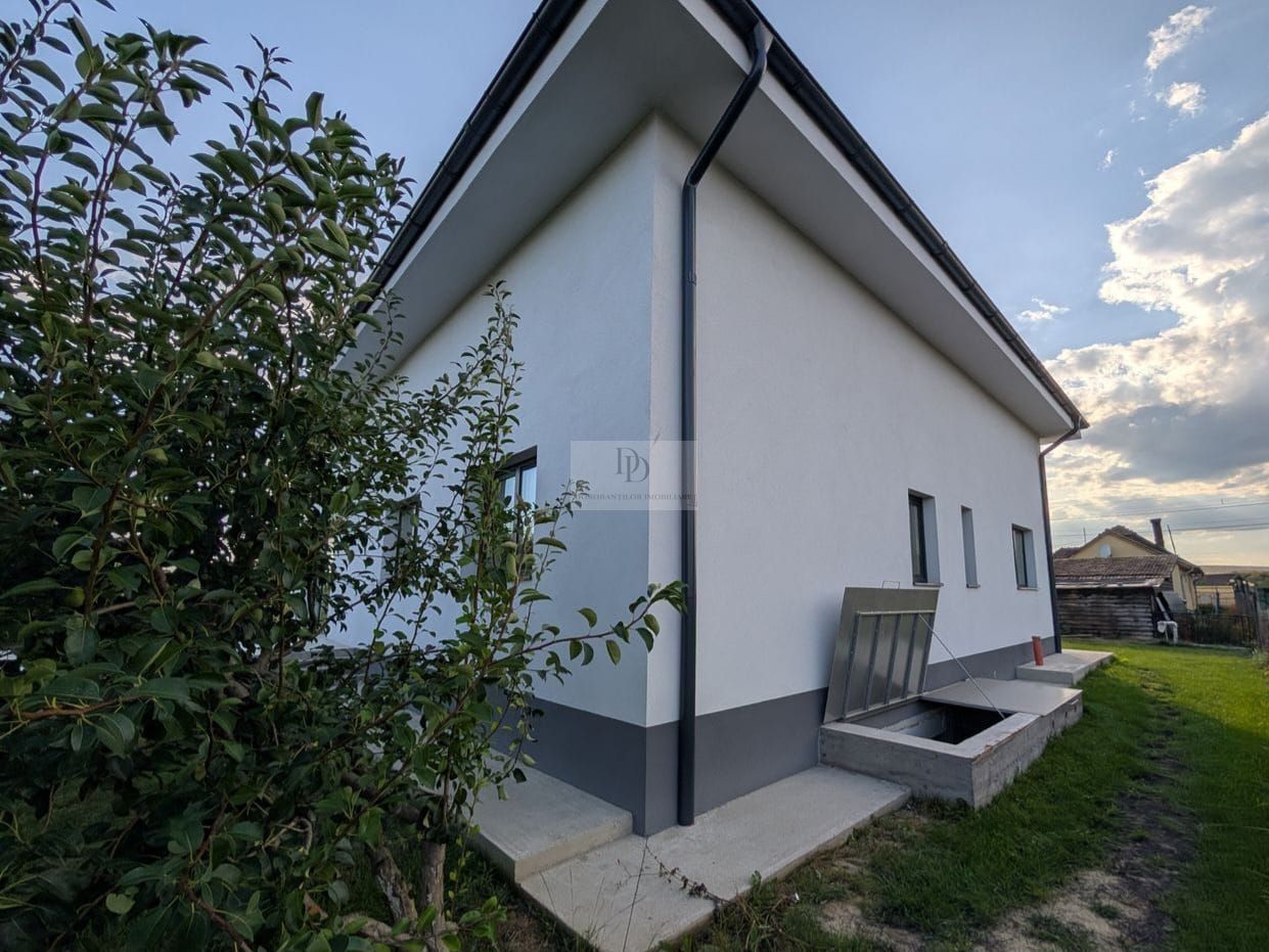 Vanzare 3 case | Teren 1400 mp | Garaj auto + Anexe - Poză 5