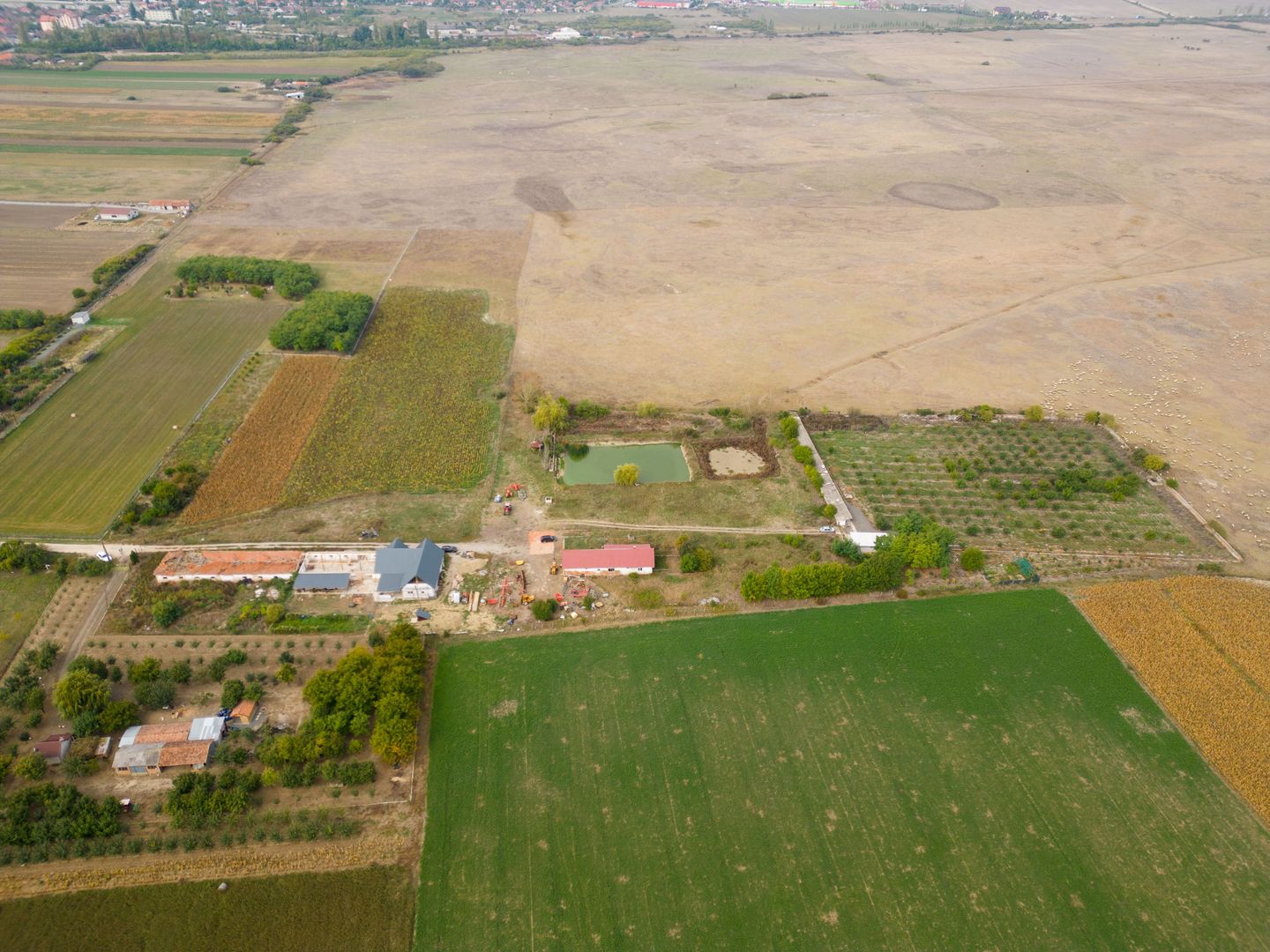 Casă cu teren 13 418 mp intravilan - Poză 20