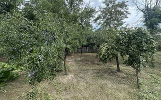 Casa traditionala+teren 1172mp intravilan in Lunca Corbului, Arges - Poză 8