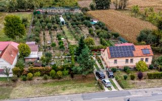 🏡 Mai mult decât o casă: libertatea de a trăi aproape de natură - Poză 2