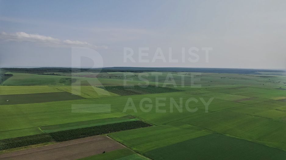 Vînzare, teren agricol, 25,3 ha, s. Peresecina, Orhei. - Poză 9