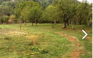 CASA 4 CAMERE, TEREN 8387 MP, POIENARII DE MUSCEL, ARGES - Poză 12