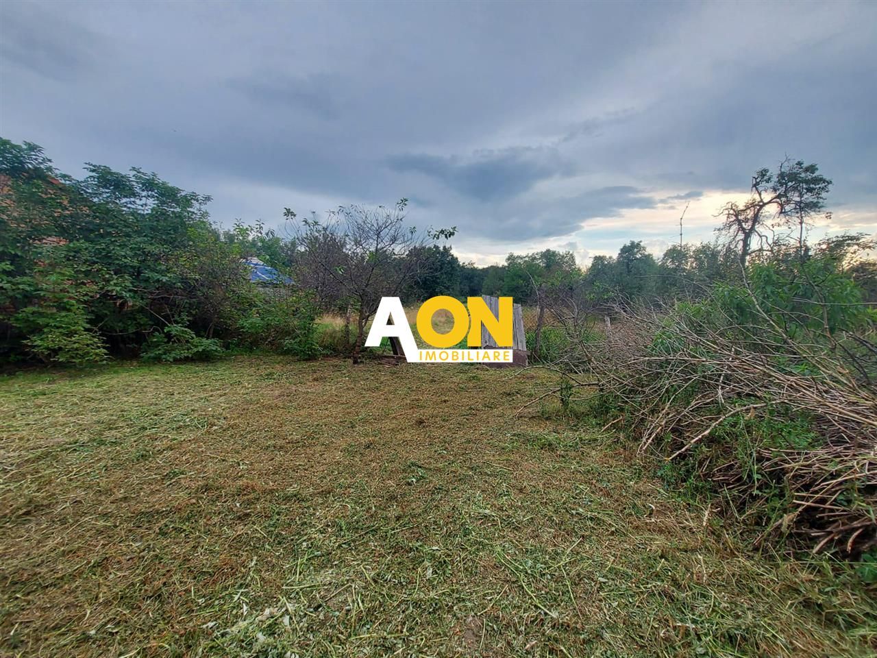 Casa Ciugud Toate Utilitatile cu Teren 3000MP - Poză 3