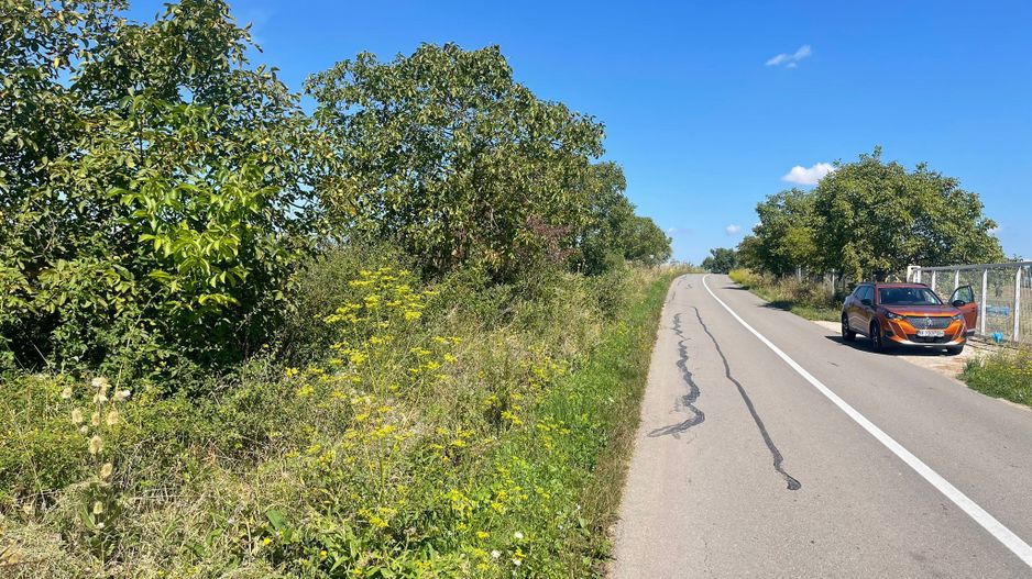 Teren Intravilan | Padureni | Investiție | 27000 mp - Poză 3