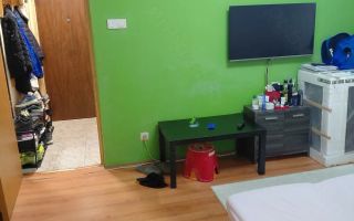 2 Camere | Boxa | Credit | 1/4 | Parcul LINIEI | Pacii X Gorjului - Poză 8