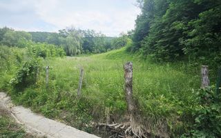 Teren intravilan lângă pădure – 1659 mp,  C.U. P+2E, Vărbilău - Poză 2