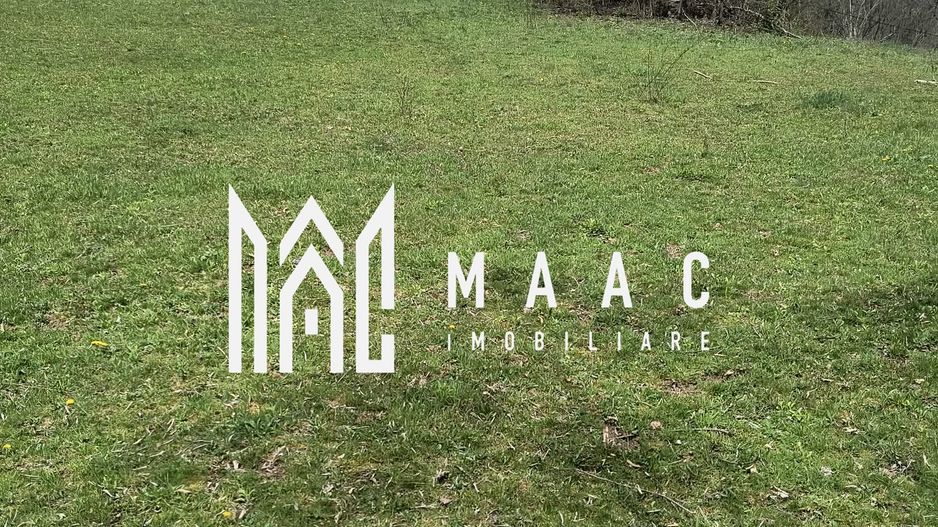 Un colt de rai in Apuseni I viața ca pe vremuri - Poză 6