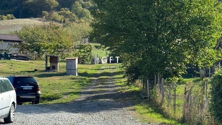 Teren de vanzare, Valea Ghinzii, parcele de 5-6 ari - Poză 6