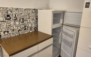 2 camere, zona Traian, parcul Regina Maria - Poză 12