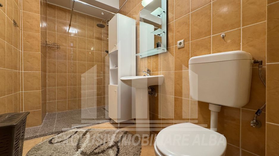 Apartament cu 2 camere de inchiriat, Cetate - Poză 7