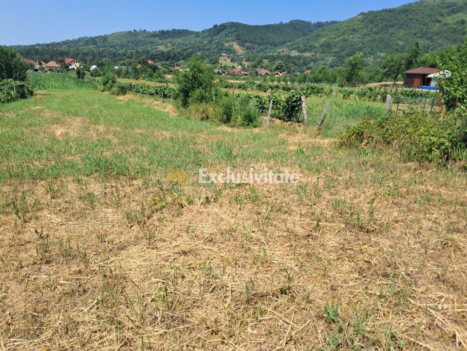 TEREN INTRAVILAN POLOVRAGI - Poză 2