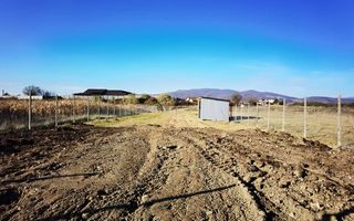 Teren intravilan de vanzare, Alba-Micesti - Poză 3