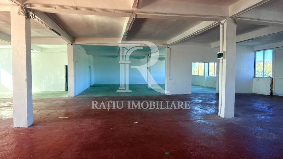 Spațiu comercial 530 mp | Depozitare și producție | Acces TIR - Poză 8