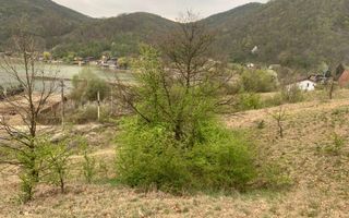 Teren intravilan 2.580 mp Eșelnița, acces DN57, ideal turism, locuinte - Poză 7