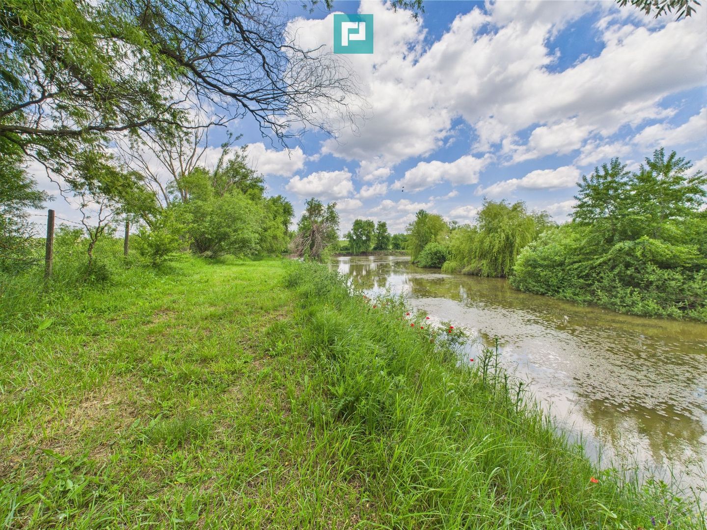 Teren cu baltă- oportunități multiple la Fibiș - Poză 17