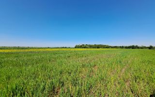 Teren de vanzare in Magurele Ifov Centura Bucuresti - Poză 1