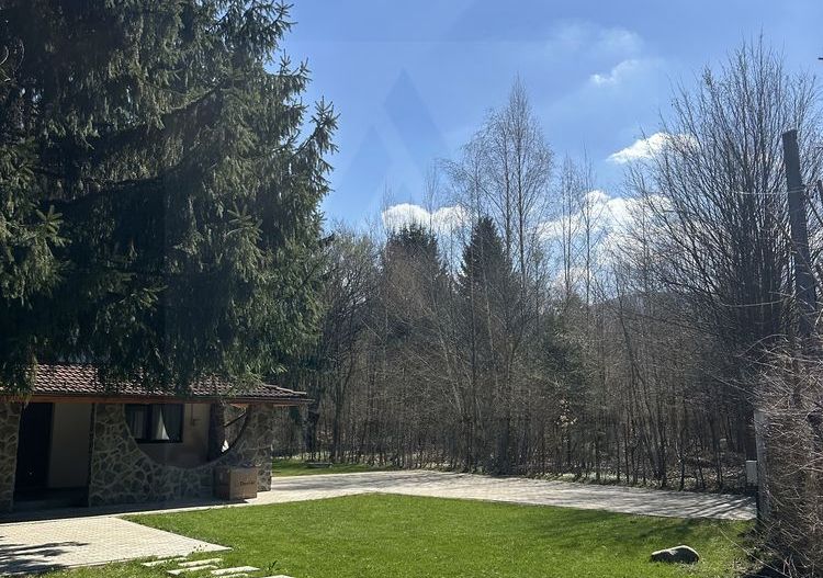 Casa individuala 275 mp utili cu teren 1000 mp in Porumbacu de Sus - Poză 8