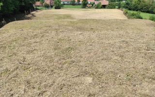 Teren intravilan | 3860 mp în Sărata | ideal pensiune sau resort - Poză 3