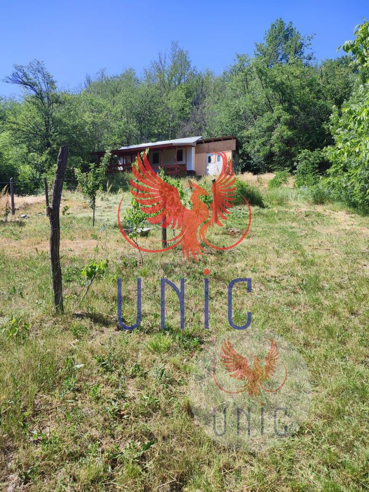 Teren intravilan Cernatesti - Poză 3