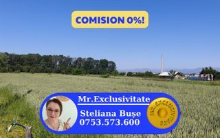 Teren 10.294 mp de vânzare Târgu Jiu | Intravilan + Extravilan | Utilități - Poză 1