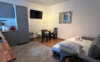 APARTAMENT 2 CAMERE OPENSPACE PARCUL CAROL - TINERETULUI - Poză 4