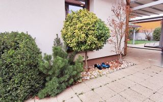 Casa eficienta energetic cu piscina in Giroc - Poză 37