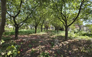 Vilă P+1 în Simeria central 320 mp, teren 1000 mp, toate utilitățile - Poză 16
