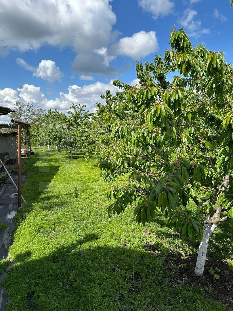 Vânzare, сasă, strada Calea Moșilor, s. Pelinia, or. Drochia - Poză 17