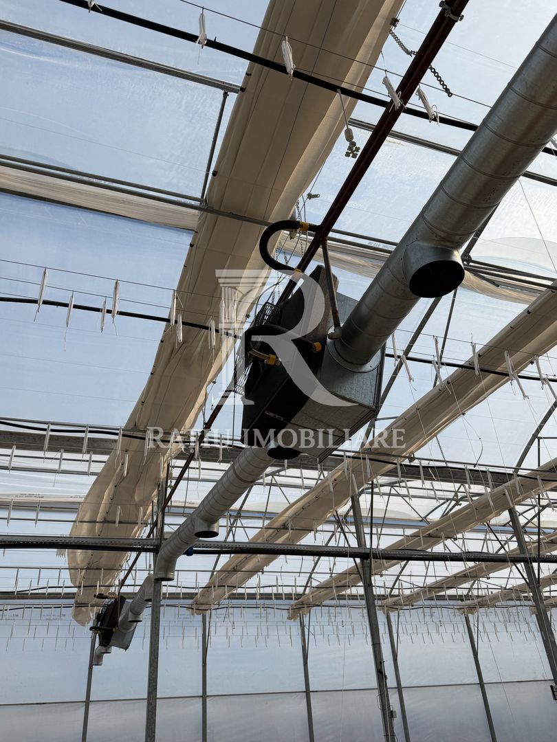 Complex agroindustrial de închiriat | Sere 3.300 mp - Poză 19