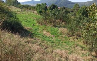 Teren intravilan 1400 mp cu utilitati la DN 17- Crainimat - Poză 3