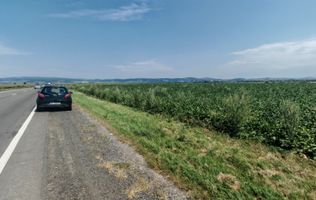 Teren intravilan 3,85 ha,Brasov DN 13 langa MILLE, OLYMPUS, ARKADA