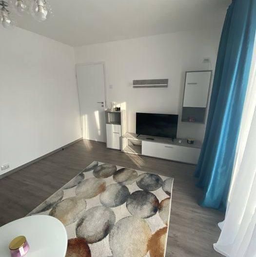 Închiriere Apartament 2 camere Sălaj, decomandat, renovat complet,  Petfriendly - Poză 4