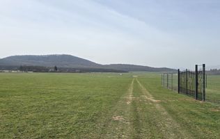 Teren Harman, 500 Mp