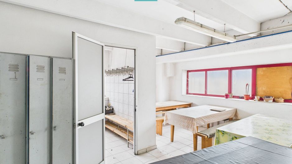 Hală de producție, cu birouri și teren, în Sebiș - Poză 30