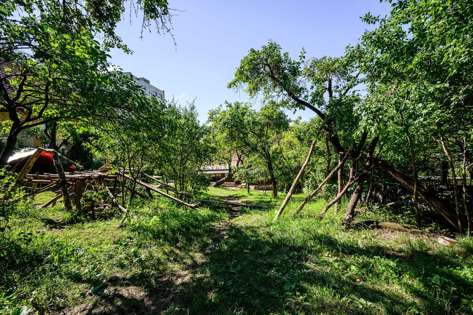 Casa 200MP cu teren de 2.050MP - Grigorescu - Str.Donath 20 - Poză 4