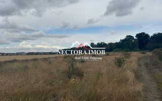 NECTORA IMOB-Teren Intravilan 667 mp, Beverly Hills-Padure Baile Felix - Poză 5