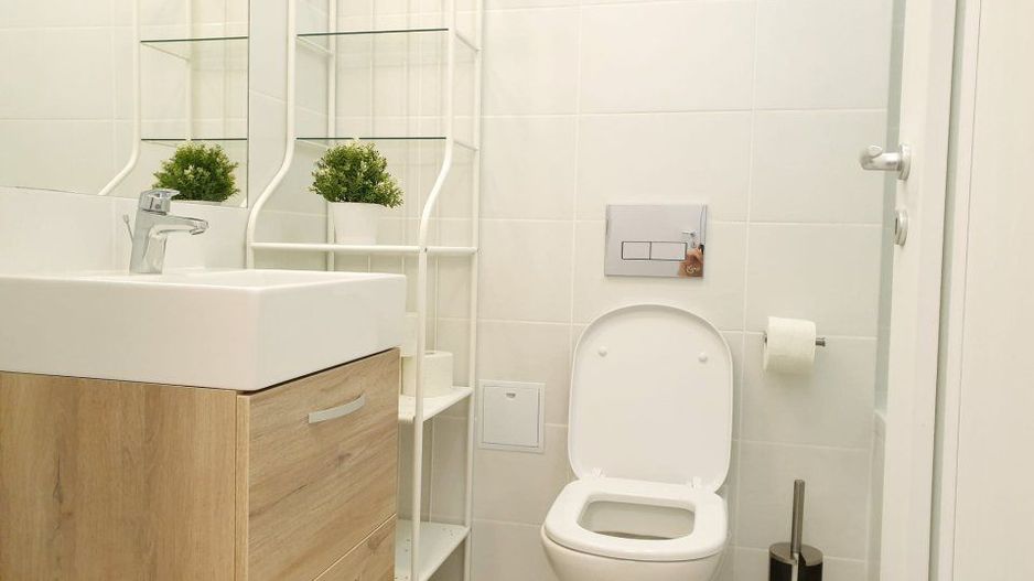 Apartament 2 camere 2 bai Aviatiei Belvedere - Poză 9