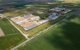 Teren Intravilan Investiții 11.600 mp Salonta - Poză 10