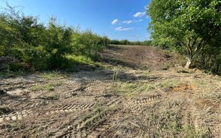 Oportunitate de Investiție Strategică | Teren Intravilan | Colonia Becas - Poză 7