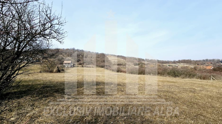 Teren intravilan, Valea Popii - Poză 4